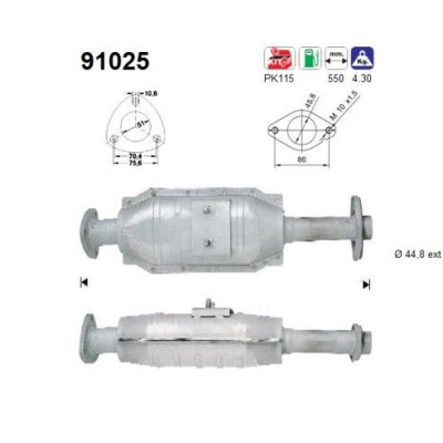 Catalizzatore 91025 AS