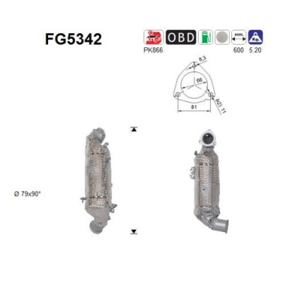 Filtro antiparticolato / particellare, Impianto gas scarico FG5342 AS