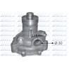 Pompa dell’acqua, raffreddamento motore S239 DOLZ