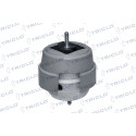 Sospensione, Motore 363921 TRICLO