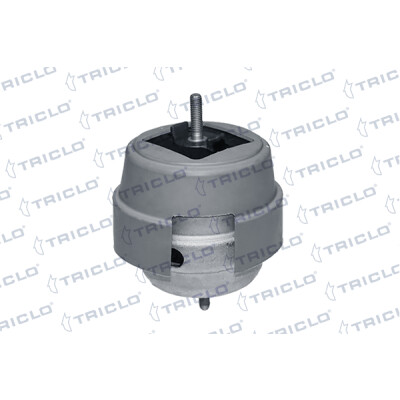 Sospensione, Motore 363921 TRICLO
