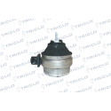 Sospensione, Motore 363922 TRICLO
