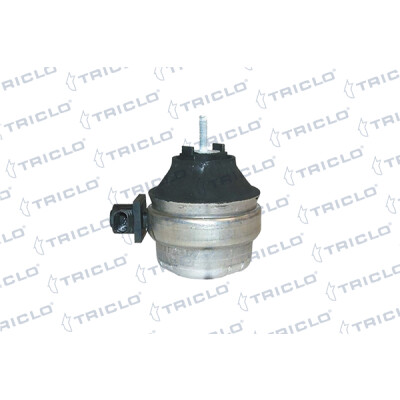 Sospensione, Motore 363922 TRICLO