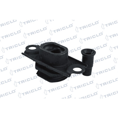 Sospensione, Motore 365391 TRICLO