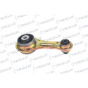 Sospensione, Motore 365639 TRICLO