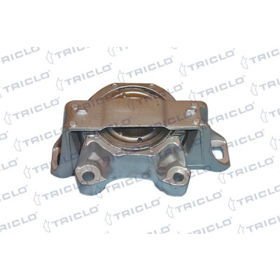 Sospensione, Motore 368875 TRICLO