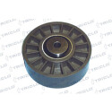 Rullo tenditore, Cinghia Poly-V 423854 TRICLO