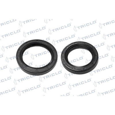 Anello tenuta, Differenziale 672897 TRICLO