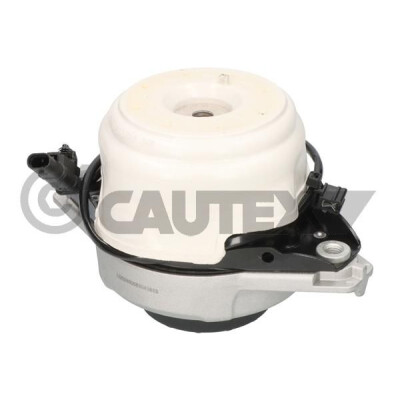 Sospensione, Motore 753569 CAUTEX/FACET