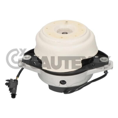Sospensione, Motore 753621 CAUTEX/FACET