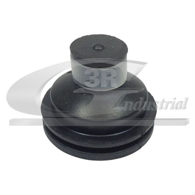 Sospensione, Motore 81653 3RG