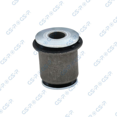 Supporto, Braccio oscillante 513005 GSP