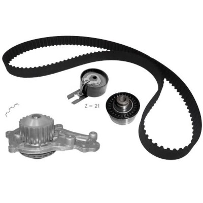 Pompa acqua + Kit cinghie dentate ROKD015 RECOFICIAL