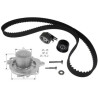 Pompa acqua + Kit cinghie dentate ROKD032 RECOFICIAL
