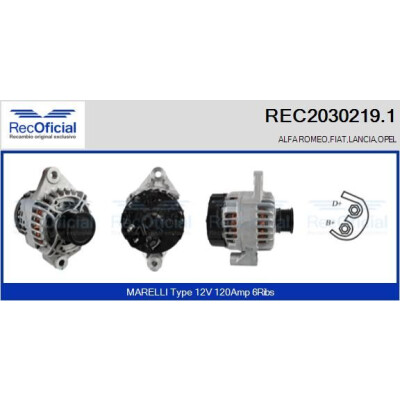 Alternatore REC20302191 RECOFICIAL