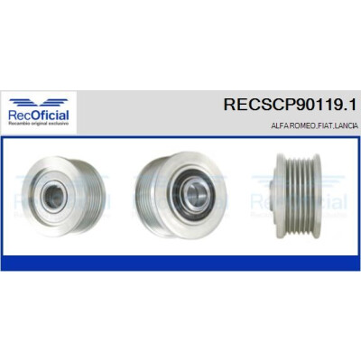 Puleggia cinghia, Alternatore RECSCP901191 RECOFICIAL