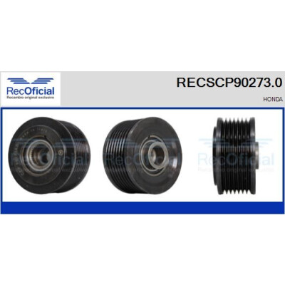 Puleggia cinghia, Alternatore RECSCP902730 RECOFICIAL