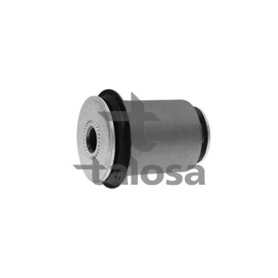 Supporto, Braccio oscillante 5714698 TALOSA