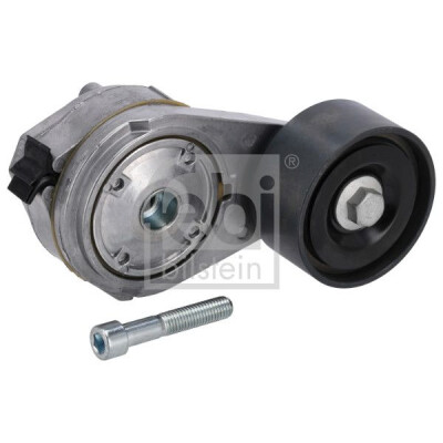 Tendicinghia, Cinghia Poly-V 30169 FEBI BILSTEIN
