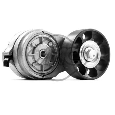 Tendicinghia, Cinghia Poly-V 49661 METALCAUCHO
