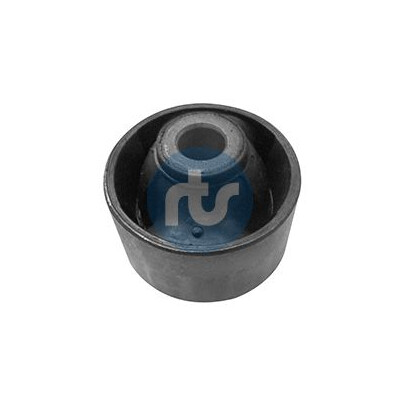 Supporto, Braccio oscillante 01701233 RTS