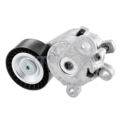 Tendicinghia, Cinghia Poly-V GA35727 SNR