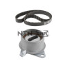 Kit cinghie dentate KD47310 SNR