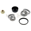 Kit cuscinetto ruota R14056 SNR