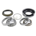 Kit cuscinetto ruota R14160 SNR