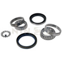Kit cuscinetto ruota R15109 SNR
