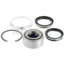 Kit cuscinetto ruota R16950 SNR