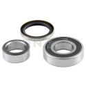 Kit cuscinetto ruota R17728 SNR