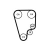 Kit cinghie dentate CT1006K1 CONTINENTAL CTAM