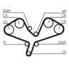 Kit cinghie dentate CT1068K2 CONTINENTAL CTAM