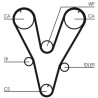 Kit cinghie dentate CT1085K1 CONTINENTAL CTAM