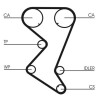Kit cinghie dentate CT1110K2 CONTINENTAL CTAM