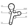 Pompa acqua + Kit cinghie dentate CT1121WP1 CONTINENTAL CTAM