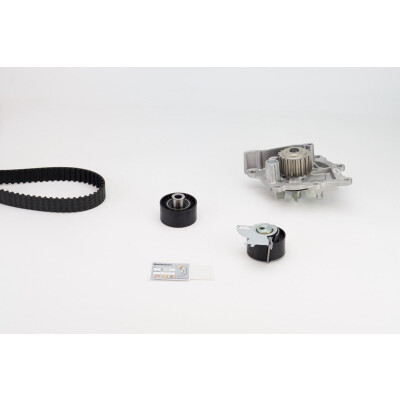 Pompa acqua + Kit cinghie dentate CT1142WP1 CONTINENTAL CTAM