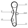 Pompa acqua + Kit cinghie dentate CT1142WP1 CONTINENTAL CTAM
