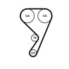 Kit cinghie dentate CT1211K1 CONTINENTAL CTAM