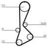 Kit cinghie dentate CT828K1 CONTINENTAL CTAM