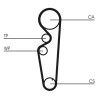 Kit cinghie dentate CT878K1 CONTINENTAL CTAM