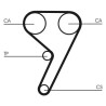 Kit cinghie dentate CT881K1 CONTINENTAL CTAM