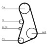 Kit cinghie dentate CT919K1 CONTINENTAL CTAM