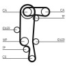 Kit cinghie dentate CT957K2 CONTINENTAL CTAM