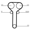 Pompa acqua + Kit cinghie dentate CT978WP1 CONTINENTAL CTAM