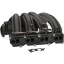 Modulo collettore aspirazione AF07250 Alfa e-Parts