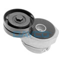 Tendicinghia, Cinghia Poly-V APV2321 DAYCO