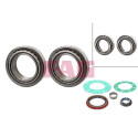 Kit cuscinetto ruota 713679110 FAG