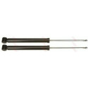 Ammortizzatore JGT481T TRW